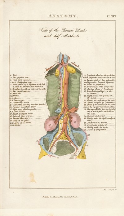 de Henry Mutlow