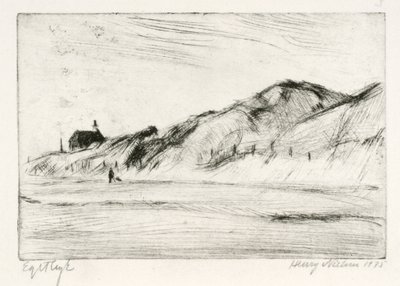 Paisaje costero con casa y persona de Henry Nielsen