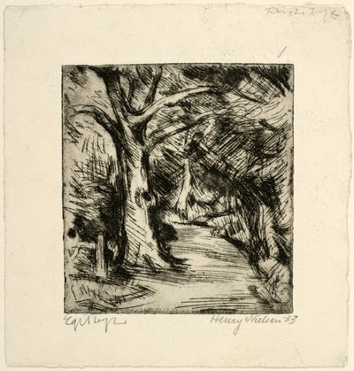 Camino del bosque. Bosque de Riis de Henry Nielsen