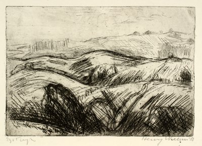 Paisaje montañoso de Henry Nielsen