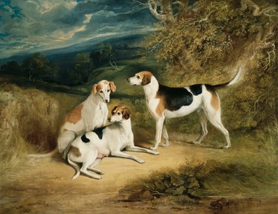 Los sabuesos del duque de Rutland con el castillo de Belvoir en la distancia de Henry Perlee Parker
