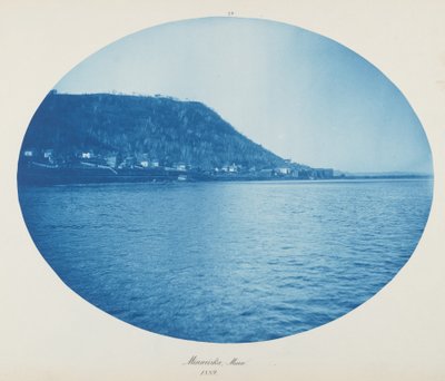 Minneiska, Minn. de Henry Peter Bosse