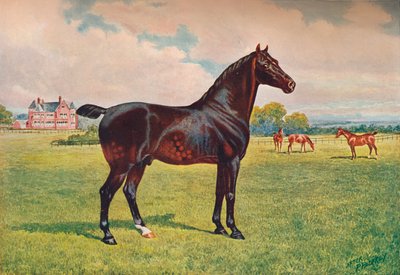 Hackney Pony semental Berkeley Model, c1900 de Henry Powell Palfrey