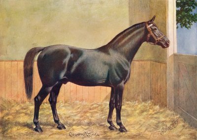 Semental Yorkshire Coach Horse, Príncipe de la Corona, 1902 c1910 de Henry Powell Palfrey