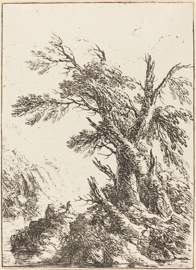Paisaje con árboles viejos junto al agua de Henry Richard Greville, 3rd earl of Warwick