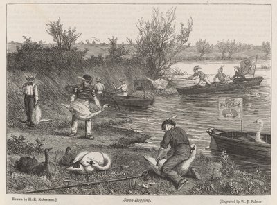 Cisnes saltando de Henry Robert Robertson