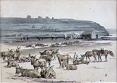 Burros en el Campo de Golf, ilustración de la revista 