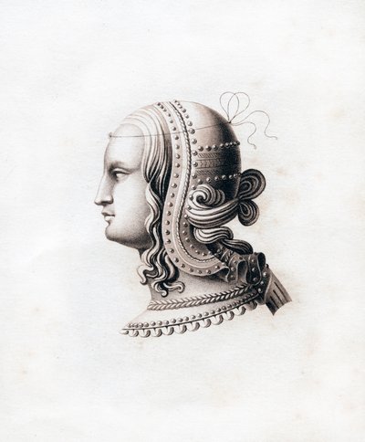 Tocado, principios del siglo XVI de Henry Shaw