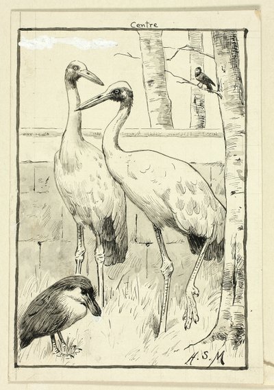 Cuatro pájaros en un paisaje de Henry Stacy Marks