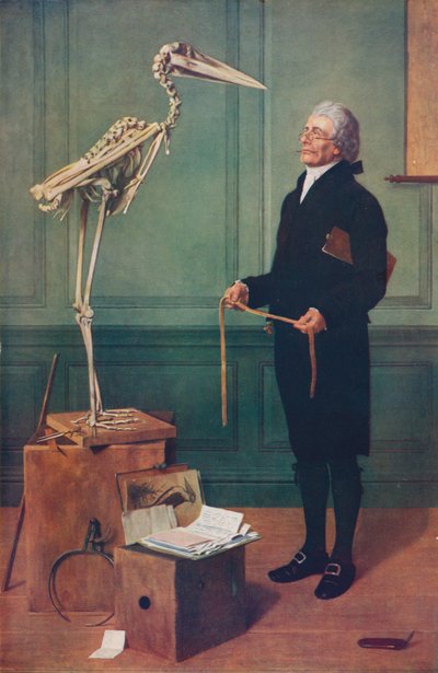 La medición es ciencia, 1879, c. 1915 de Henry Stacey Marks