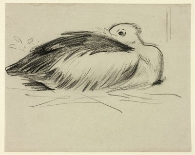 Boceto de cigüeña nidificante de Henry Stacy Marks