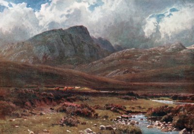  de Henry Sutton Palmer