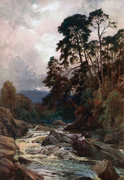  de Henry Sutton Palmer