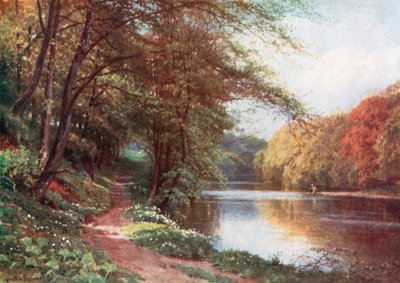 En el río Ayr, Ayrshire (litografía en color) de Henry Sutton Palmer