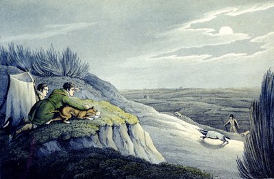 Captura de tejones de los Deportes Nacionales de Gran Bretaña (grabado por J.H. Clarke) de Henry Thomas (after) Alken