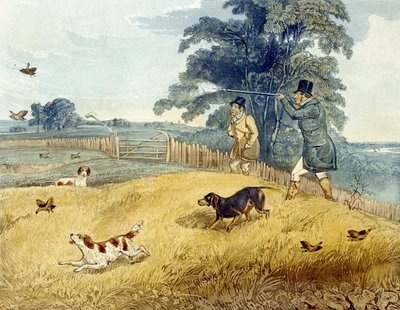Levantando aves, lámina de 