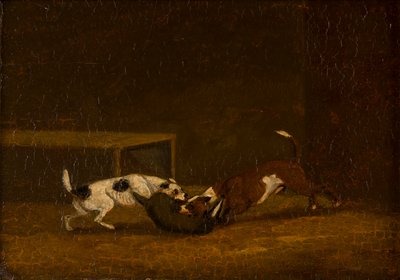 Two Terriers Badger Baiting, c.1805-51 (aceite en panel) de Henry Thomas (follower of) Alken