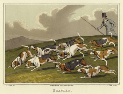 Beagles de Henry Thomas Alken