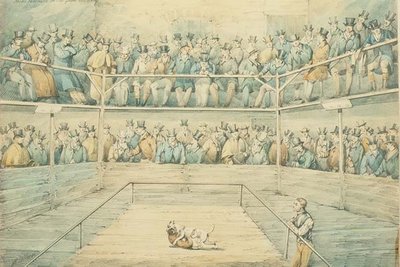 Pelea de perros en el Westminster Pitt de Henry Thomas Alken