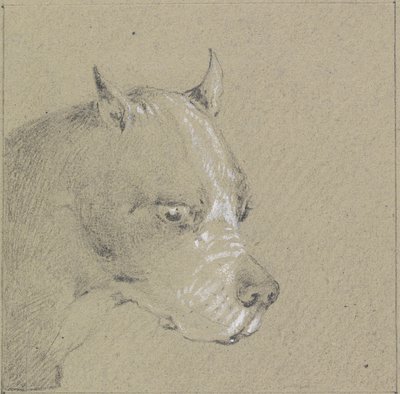 Cabeza y hombros de un perro bóxer de Henry Thomas Alken