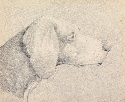  de Henry Thomas Alken