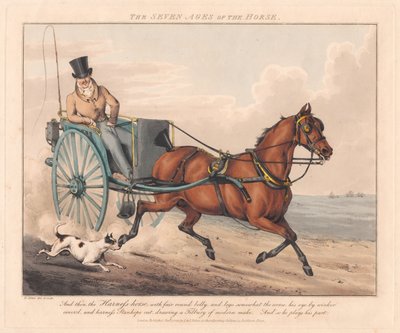 Conjunto de siete: Las siete edades del caballo de Henry Thomas Alken