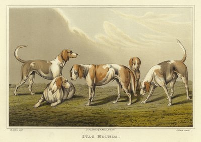 Perros de caza (cromolitografía) de Henry Thomas Alken