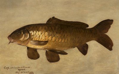 Carpa, 1806 de Henry Thomson