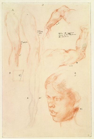 Demostración anotada: Dibujos y un estudio de la cabeza de una niña de Henry Tonks