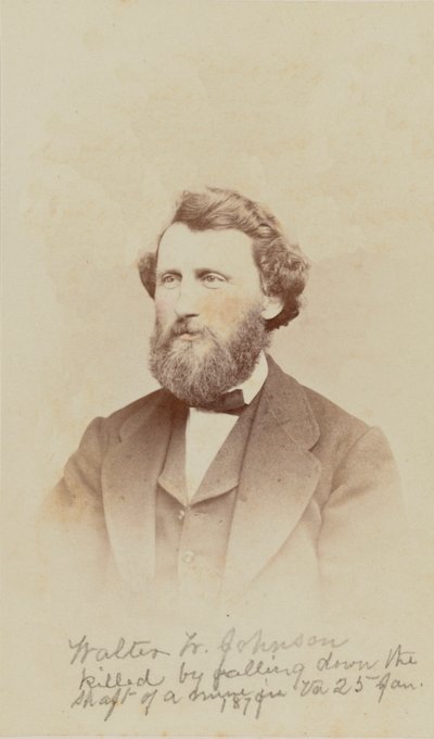 Retrato carte-de-visite de Walter W. Johnson de Henry Ulke