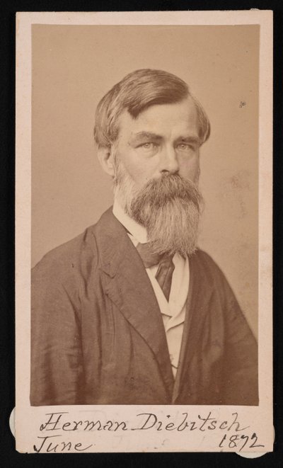 Retrato de Herman Henry Diebitsch 1818-1883, 1871 de Henry Ulke