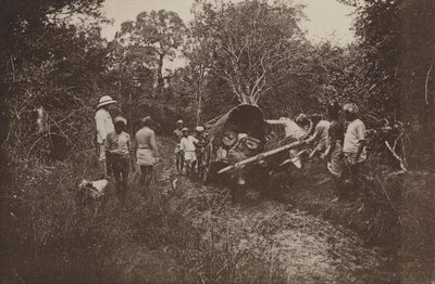 Ciudades en ruinas de Ceilán: En ruta hacia Polonnaruwa (foto en blanco y negro) de Henry W. Cave