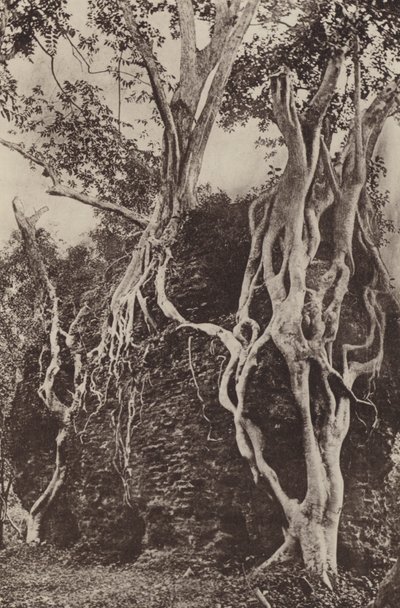 Ciudades en ruinas de Ceilán: Kotuwa (foto en blanco y negro) de Henry W. Cave