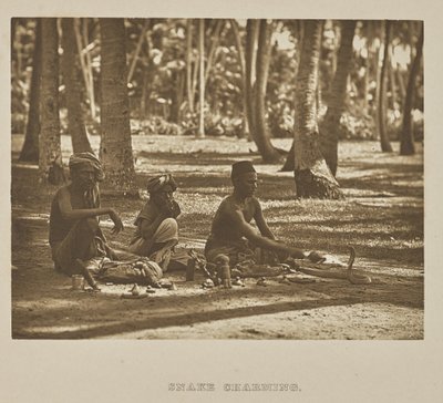Encantador de serpientes de Henry W. Cave