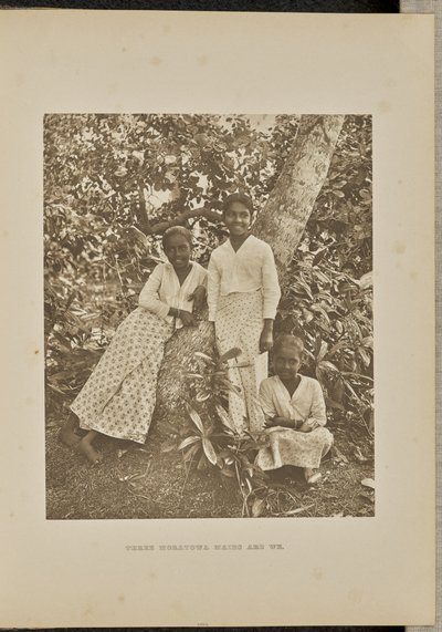 Tres criadas Moratowa somos de Henry W. Cave