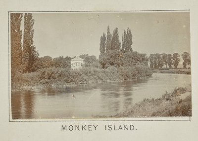 La isla de los monos de Henry W. Taunt