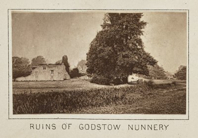 Ruinas del convento de Godstow de Henry W. Taunt
