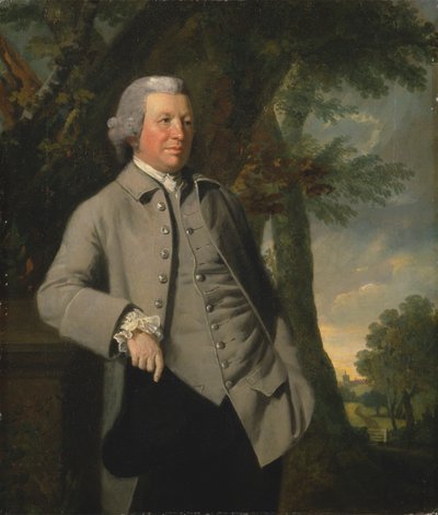 Un caballero de campo de Henry Walton