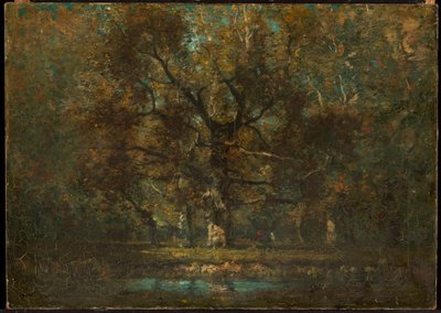 Roble de Henry Ward Ranger
