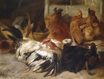 Un gallo Rosecomb plateado-gris y una Polonia negra con cresta blanca con dos gallinas buff de Henry Weekes