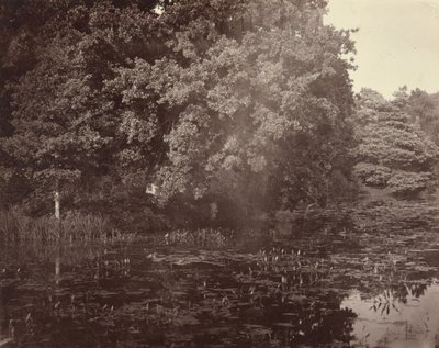 [Estanque en el parque, Surrey] de Henry White