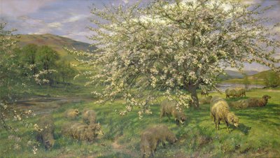 Imagen desconocida de Henry William Banks Davis