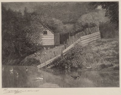 Un Estanque de Patos de Henry Wolf