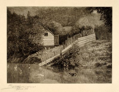 Un estanque de patos de Henry Wolf