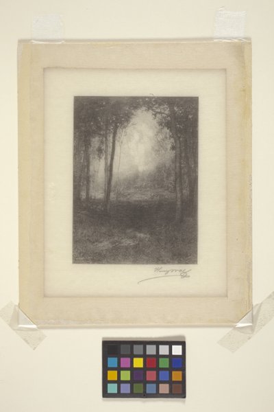 En los Adirondacks (tinta) de Henry Wolf