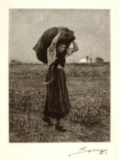 Le Soir de Henry Wolf