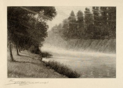 Nieblas matinales de Henry Wolf