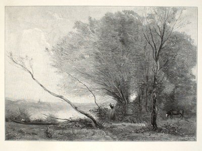El árbol curvado de Henry Wolf