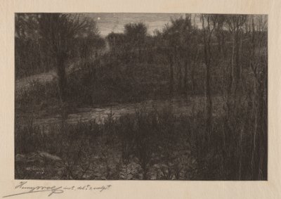 La estrella vespertina de Henry Wolf