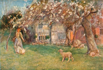 Corderos, c1904 de Herbert Alexander Collins